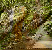 William Ricketts Sanctuary - Australia Accommodation