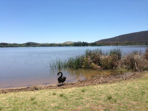 Yarralumla Bay - Australia Accommodation 0