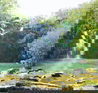 Airlie Beach to Cedar Creek Falls - Australia Accommodation