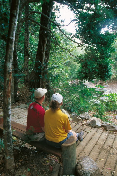 Airlie Beach To Cedar Creek Falls - Australia Accommodation 2