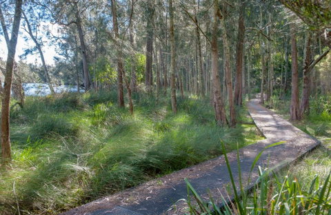 Anabranch Loop Track - Australia Accommodation 0