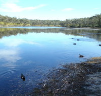 Berrara Creek - Australia Accommodation