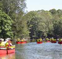Bonville Creek - Australia Accommodation