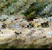 Boonoo Boonoo National Park - Australia Accommodation