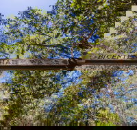 Bribie Island Bicentennial Trails - Australia Accommodation