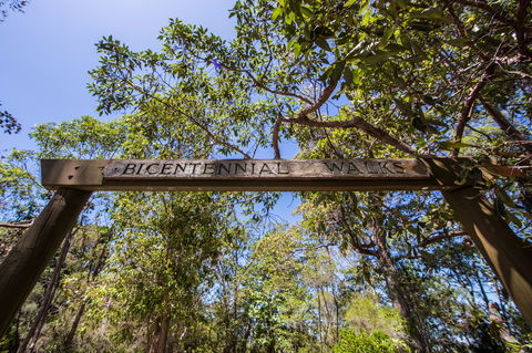 Bribie Island Bicentennial Trails - Australia Accommodation 0
