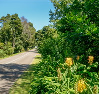 Broughton Vale - Australia Accommodation