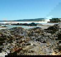 Coastal Walks - Bermagui - Australia Accommodation