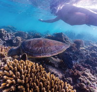Complete Ningaloo Reef Experience - Australia Accommodation
