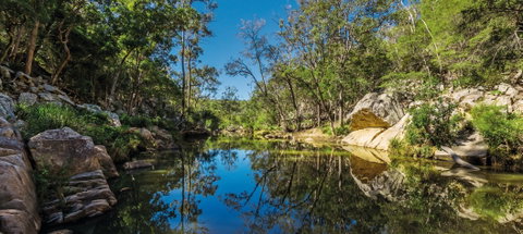 Crows Nest National Park - Australia Accommodation 0