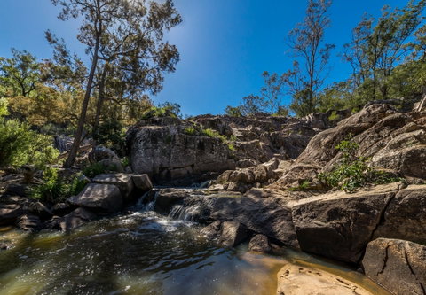 Crows Nest National Park - Australia Accommodation 1