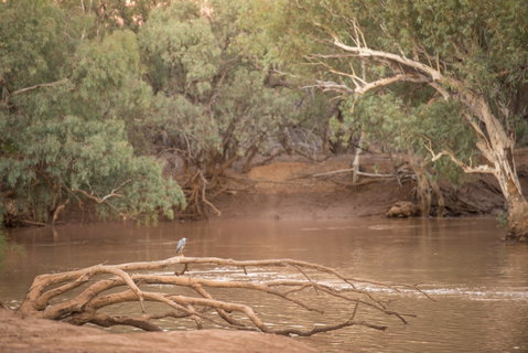 Eulo Town Hole - Australia Accommodation 2
