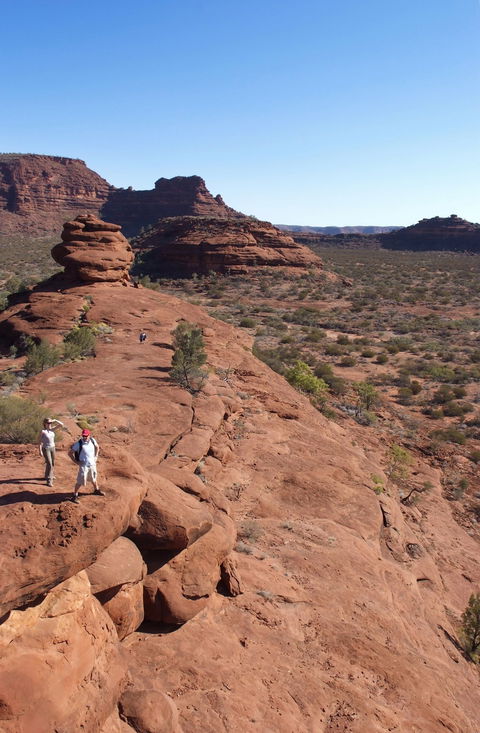 Finke Gorge National Park - Australia Accommodation 0