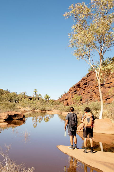 Finke Gorge National Park - Australia Accommodation 2