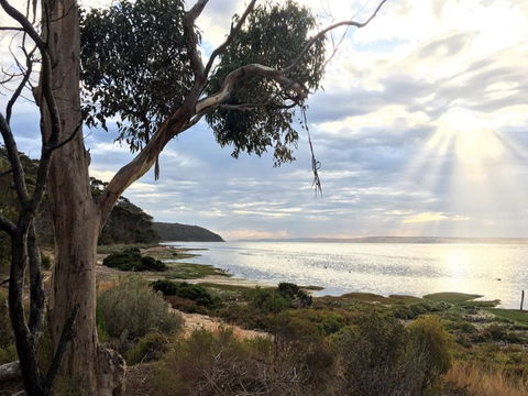 Fish Cannery Walking Trail - Australia Accommodation 0