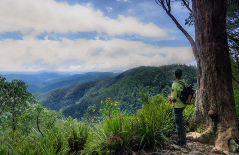 Gloucester Falls Walking Track - Australia Accommodation 0