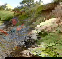 Gold Panning Deep Creek - Australia Accommodation