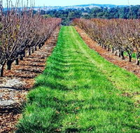 Hall Family Orchards - Australia Accommodation