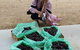 Hall Family Orchards - thumb 1