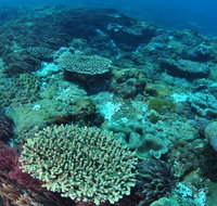 Hanging Rock Dive Site - Australia Accommodation