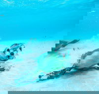 Jurien Bay - Australia Accommodation