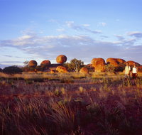 Karlu Karlu / Devils Marbles Conservation Reserve - Australia Accommodation