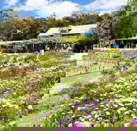 Kate's Berry Farm - Australia Accommodation