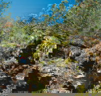 Kroombit Tops National Park - Australia Accommodation