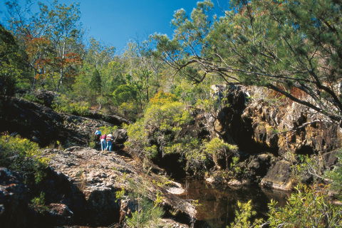 Kroombit Tops National Park - Australia Accommodation 0
