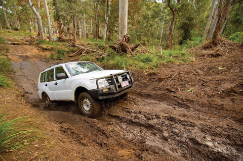 Kroombit Tops National Park - Australia Accommodation 1