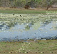 Leaning Tree Lagoon Nature Park - Australia Accommodation