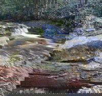 Liffey Falls Reserve - Australia Accommodation