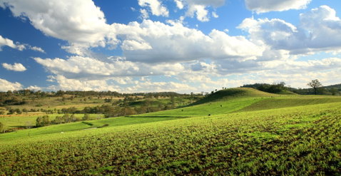 Lions Park, Hodgson Vale - Australia Accommodation 0