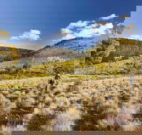 Little Mountain Walking Track - Australia Accommodation