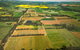 Martin's Orchard - thumb 2