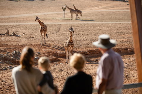 Monarto Safari Park - Australia Accommodation 0