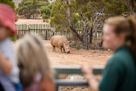 Monarto Safari Park - Australia Accommodation 1
