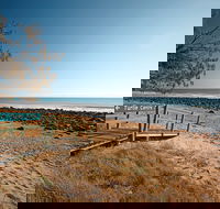 Mon Repos Beach - Australia Accommodation