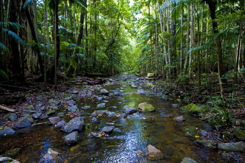 Nambucca Valley - Australia Accommodation 0