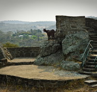 Nanny Goat Hill Lookout - Australia Accommodation