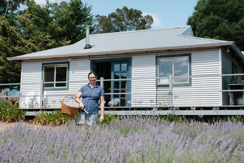 Nannup Lavender Farm - Australia Accommodation 1