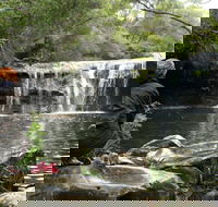 Nellies Glen Picnic Area - Australia Accommodation