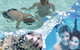 Phillip Swimming Centre - thumb 1