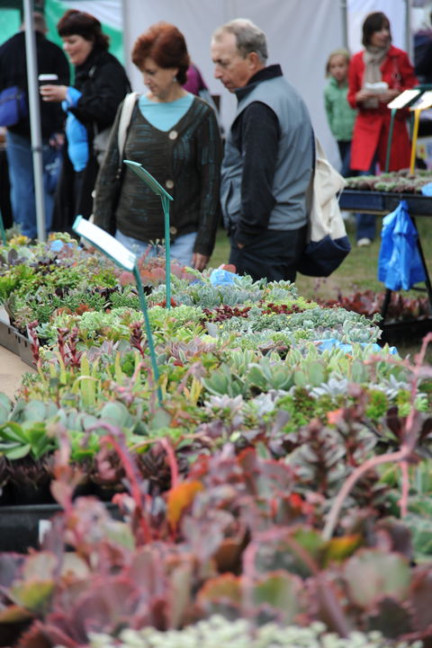 Portsea Market - Australia Accommodation 0