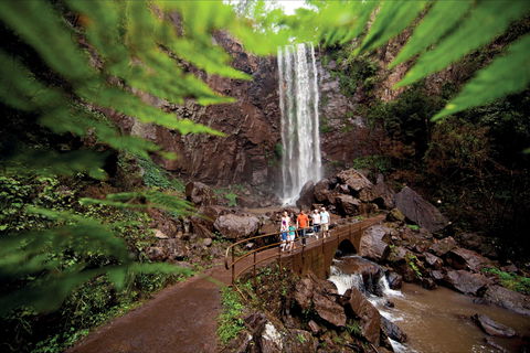 Queen Mary Falls Circuit, Main Range National Park - Australia Accommodation 0