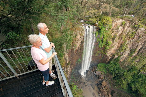 Queen Mary Falls Circuit, Main Range National Park - Australia Accommodation 1