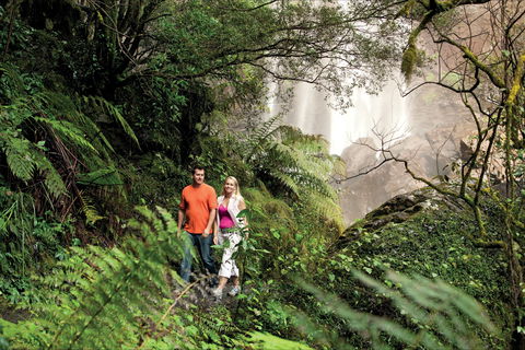 Queen Mary Falls Circuit, Main Range National Park - Australia Accommodation 2