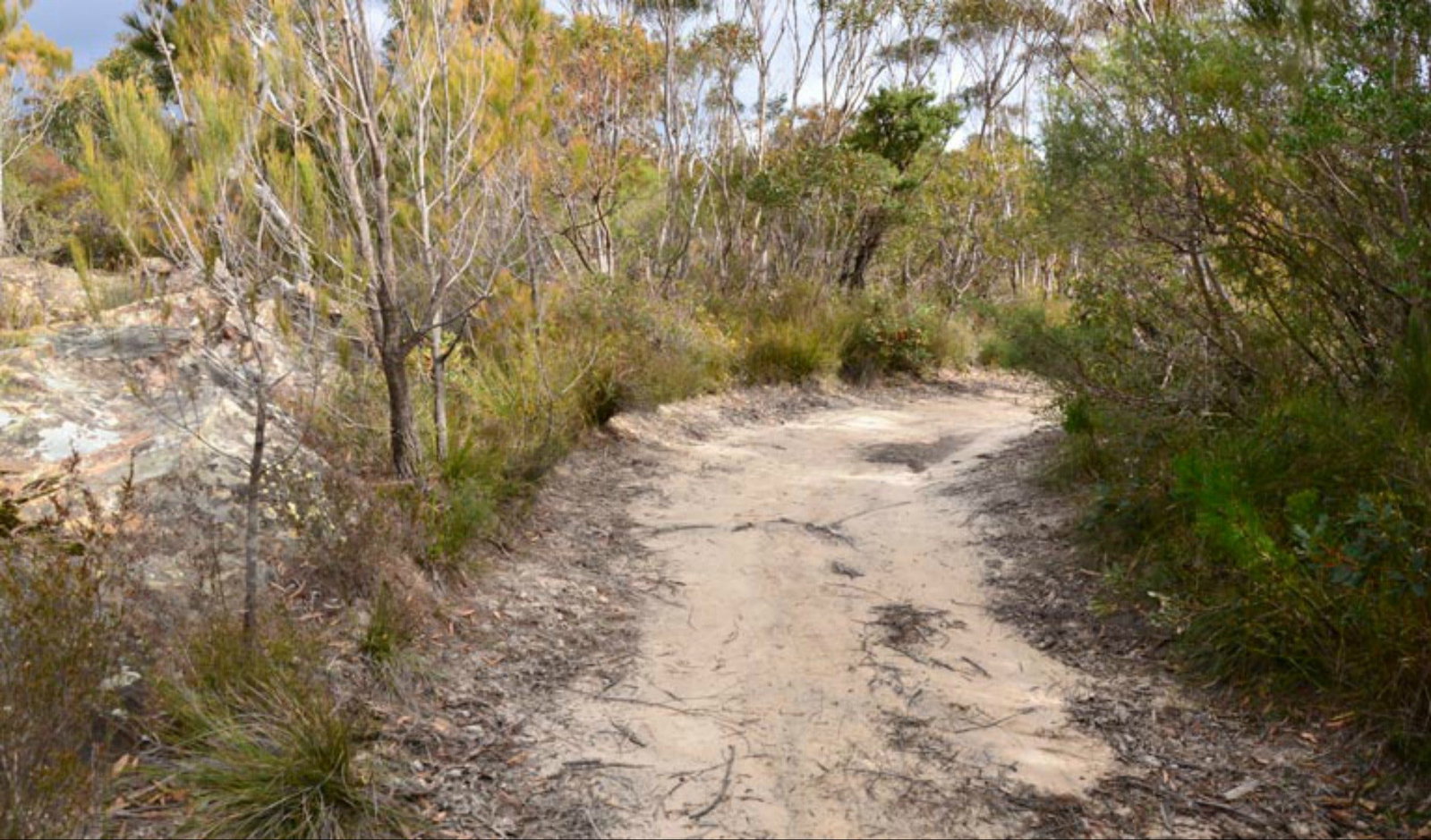 Browns Mountain NSW Australia Accommodation