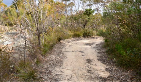 Red Rocks Trig Walking Track - Australia Accommodation 0