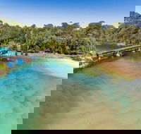 Reflections Boambee Creek Reserve - Australia Accommodation